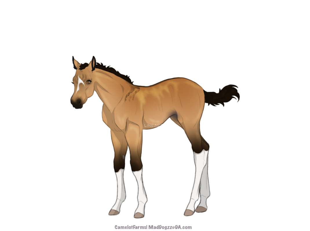 85548D28-3A39-41A8-81D8-50A4983B7434