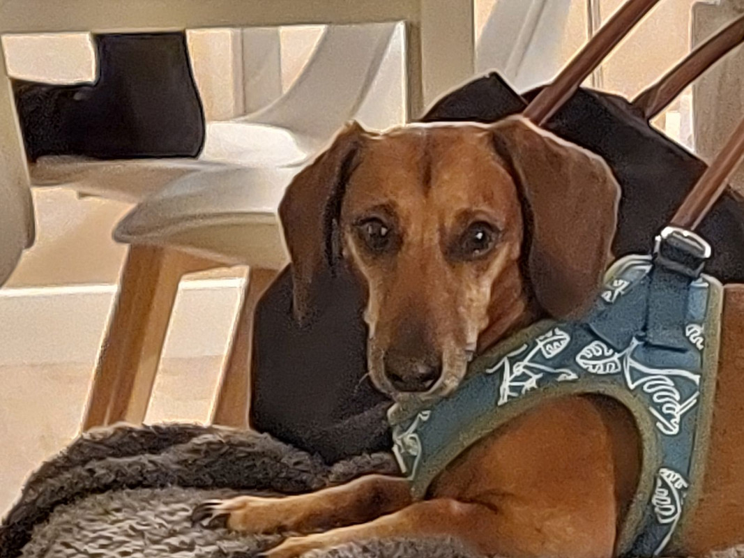 [Image: IMG-20231201-200608.jpg]