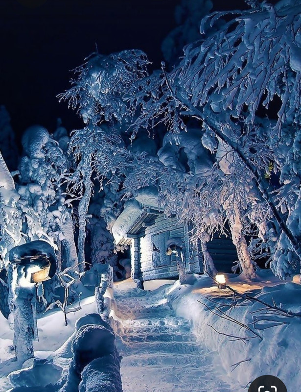 Screenshot_20231019_201135_Pinterest