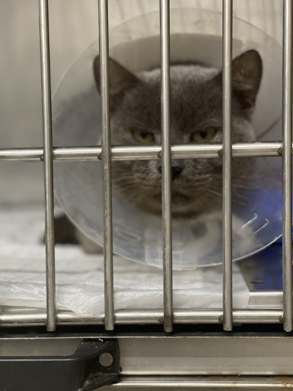 8C76BAC6-CB23-4DD3-83BE-65DAA0D0DF6E