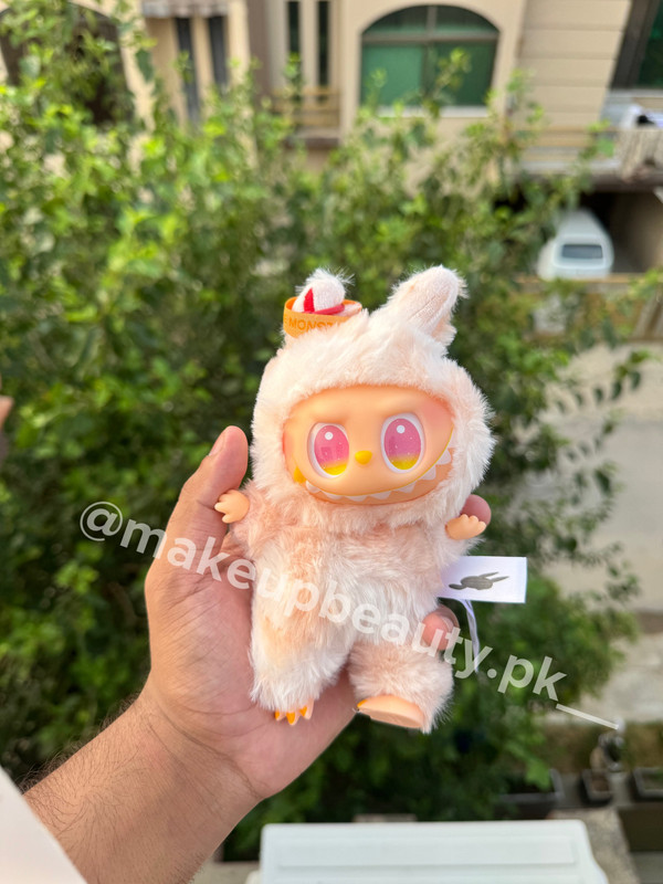 Pop Mart Labubu Blind box surprise package. Premium Quality soft stuff. - image 6