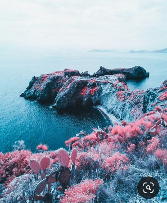 Screenshot_20231024_190508_Pinterest