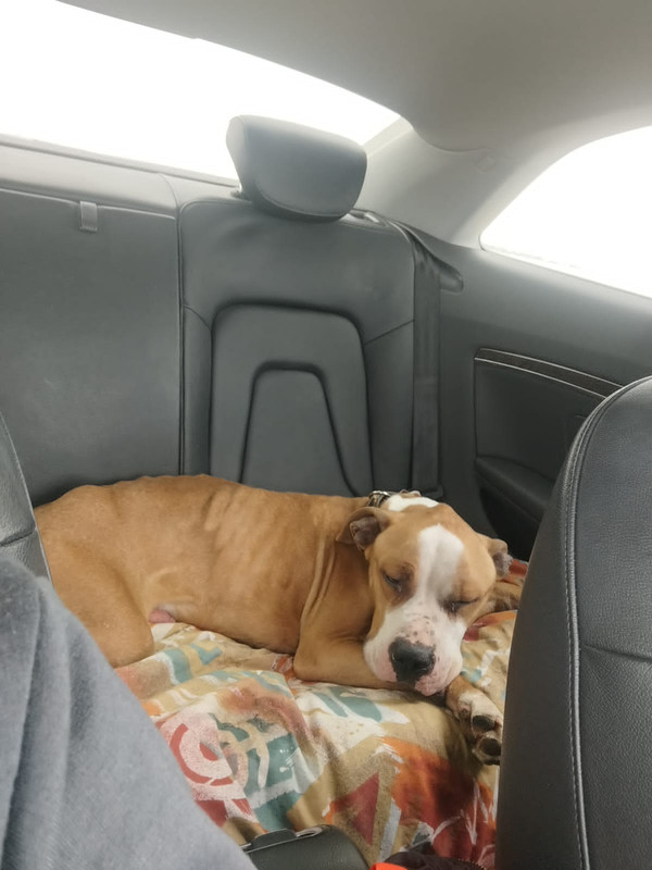 WhatsApp Image 2023-03-17 at 16.04.35 (1)