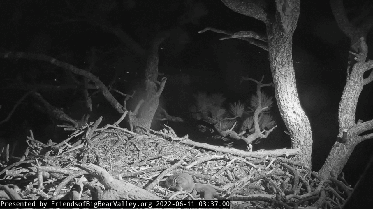 Webp.net-gifmaker (15)