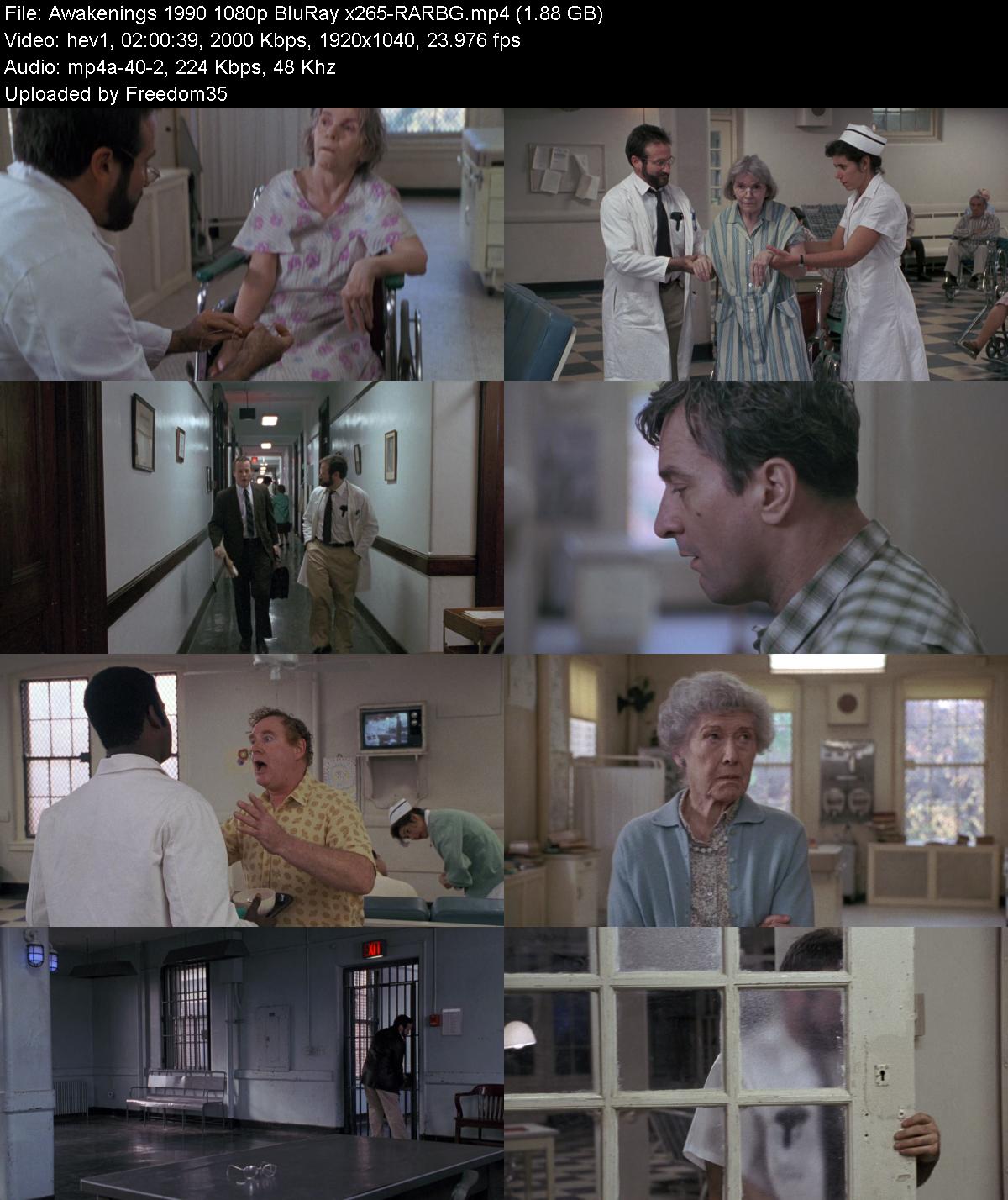 Awakenings-1990-1080p-Blu-Ray-x265-RARBG