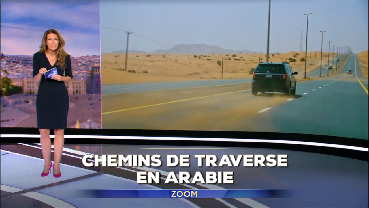 2022-11-20_13_00_TF1_Le-13h.mp4_snapshot_04.54.580
