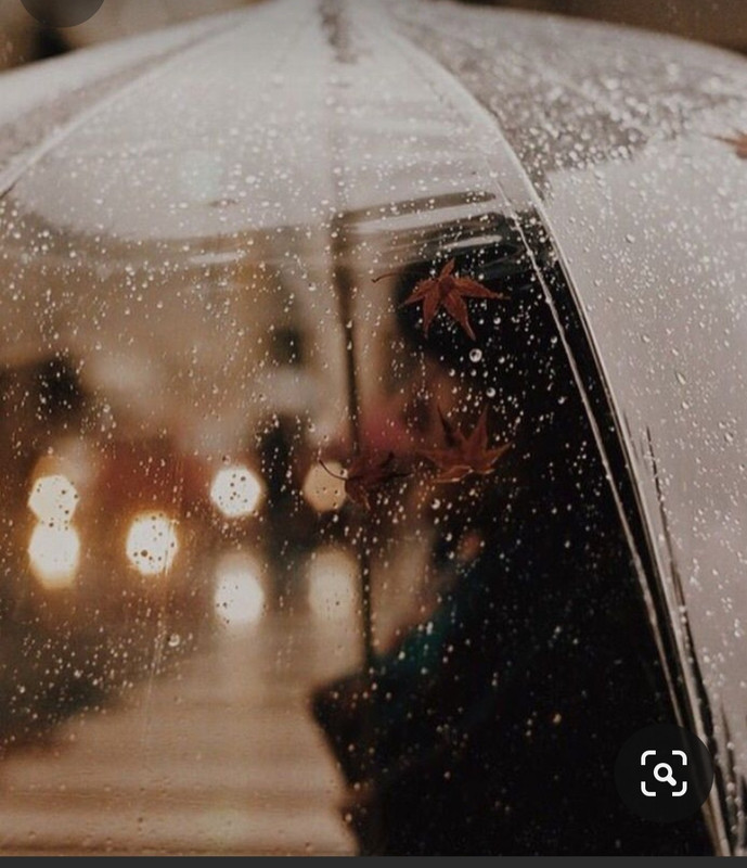 Screenshot_20231112_154618_Pinterest