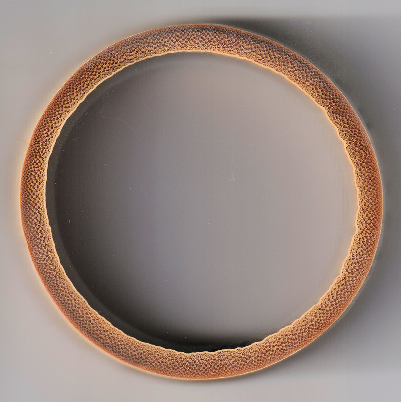 lo-o-B2-querschnitt-1