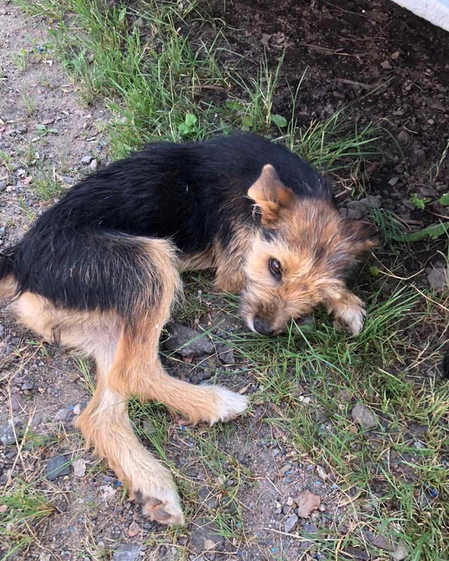 8CFCD78C-5443-4F80-BB47-2AD5A8D70F24