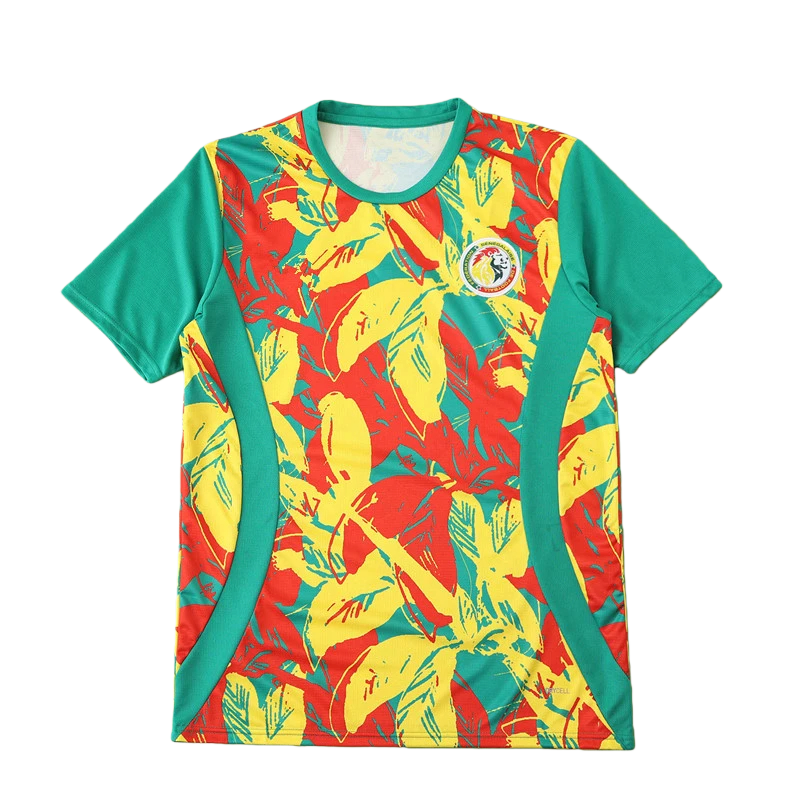 2526 season Senegal Training clothes Fan version