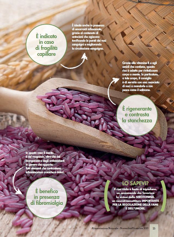 Alim Nat Nov-Dic 2023 (4)