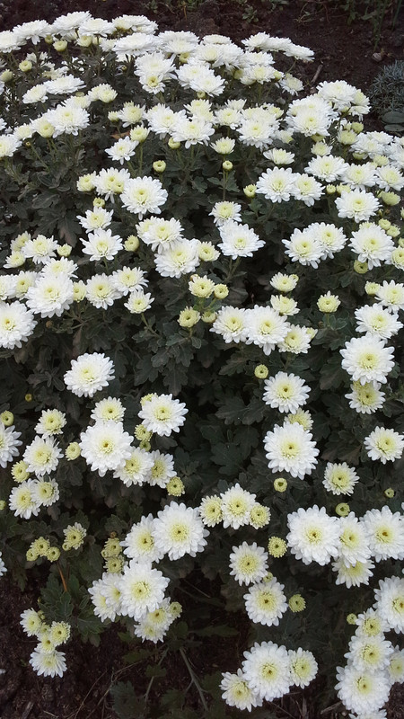 20120410_171059