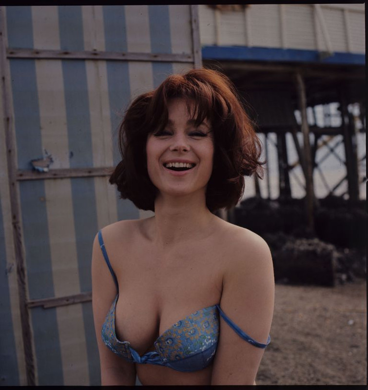 shirley_ann_field_a87