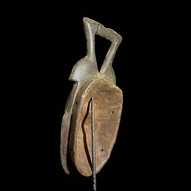 large image 11