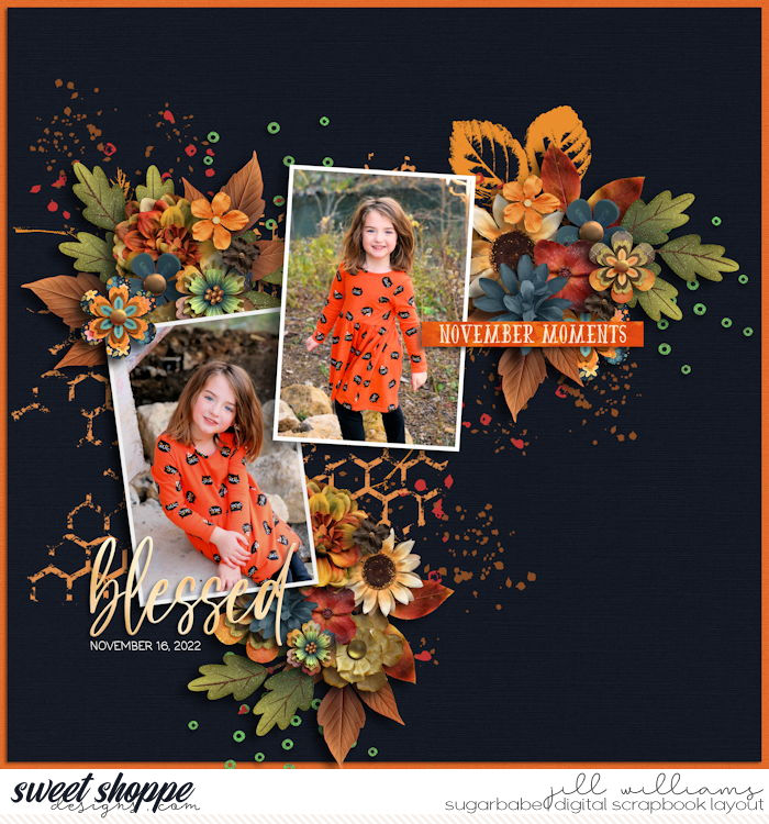 11-17-2025-November-Flergs.jpg