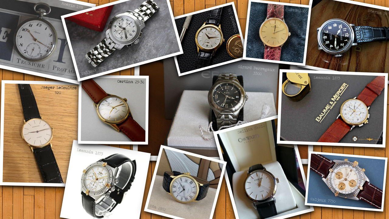 Montres pour nouveaux membres PROVA-1-DI-8