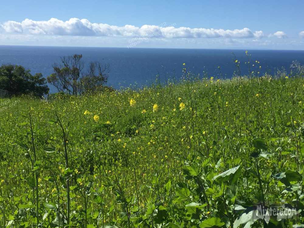 BBG&B2ItAllStartedWhenPics - 10