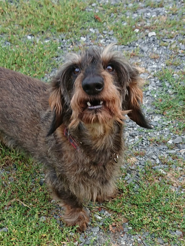 [Image: DSC-2888.jpg]