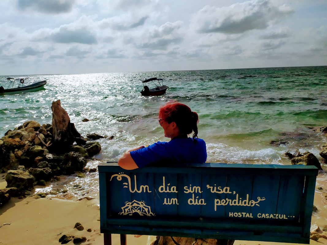 Colombia por libre en 18 días - Blogs de Colombia - Tour de todo el día en Barú con plancton nocturno (4)