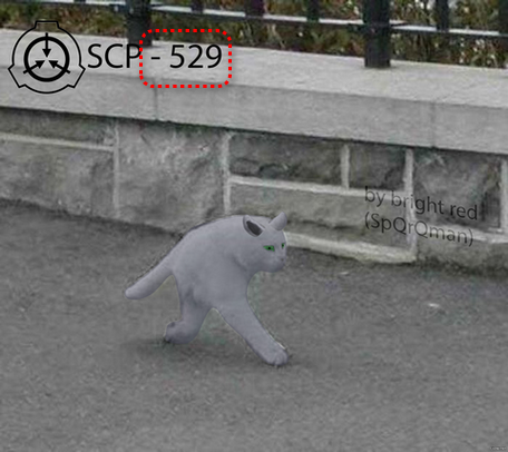 66032617-45d8-43a5-529.png