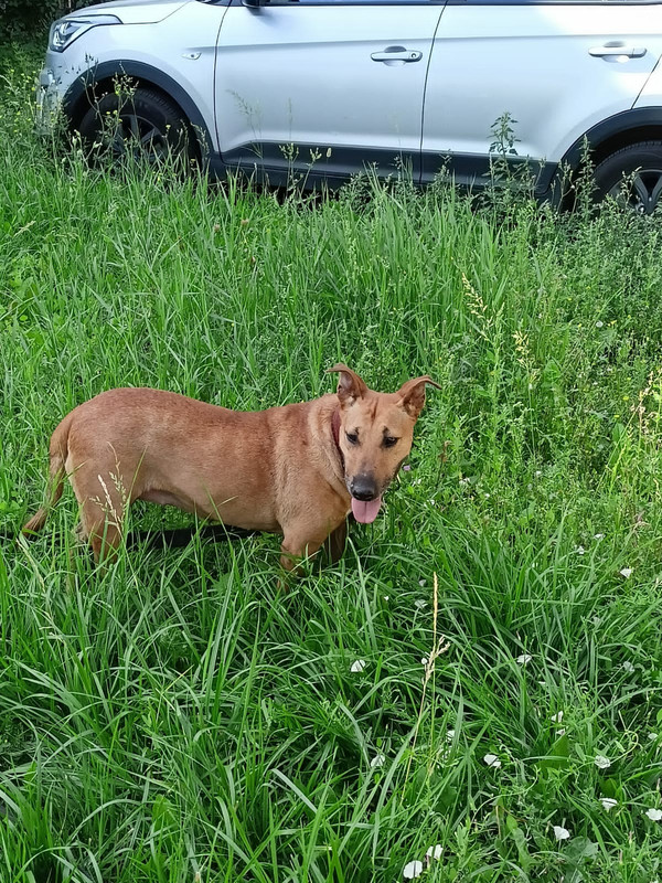 91157897-A6C0-4C07-81CD-BE8FCA8D19A9