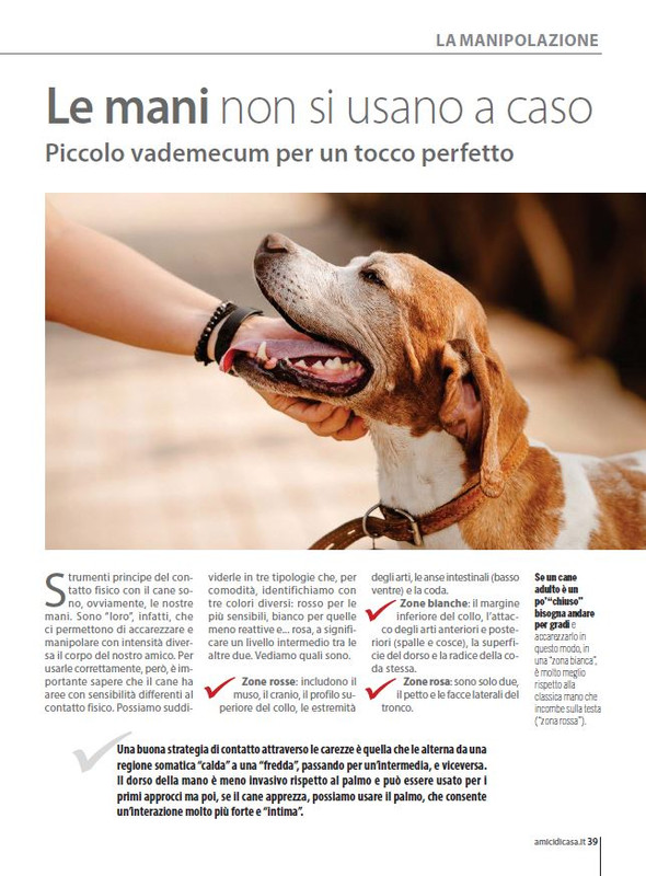 Il M C Apr-Mag 2023 (7)