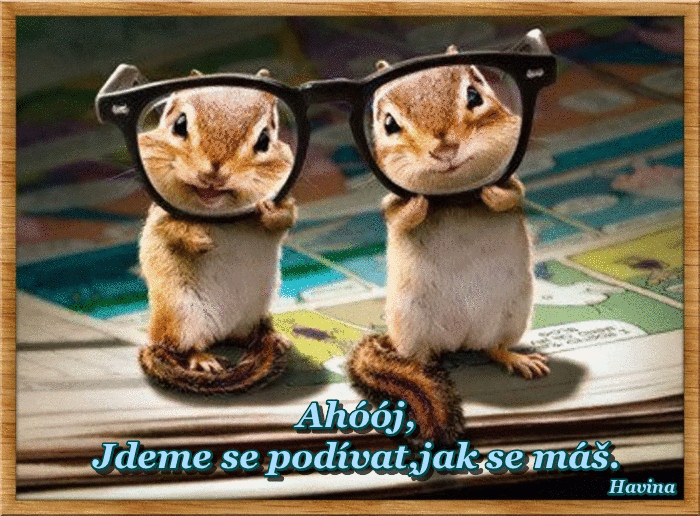 8ei-Q1jc-Qp-Io-P