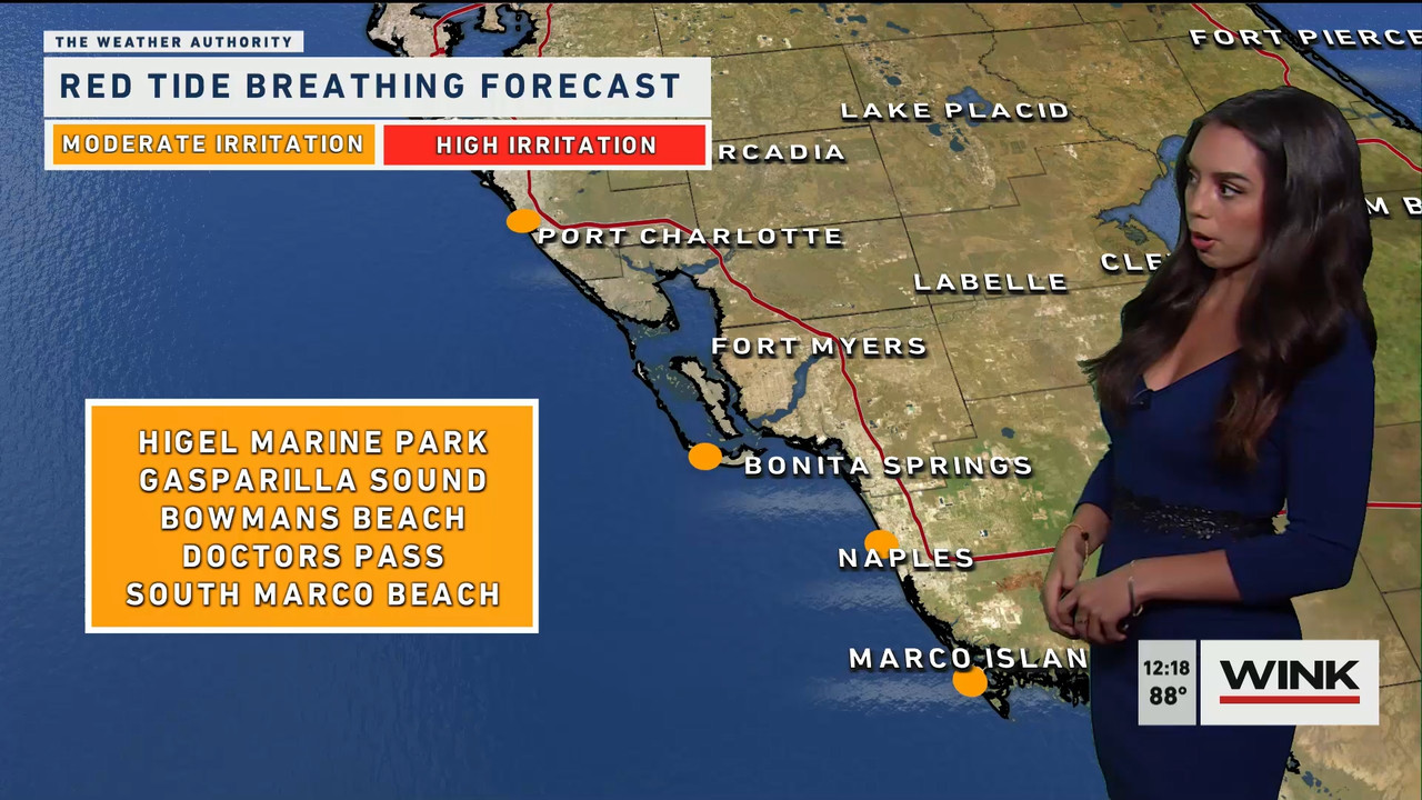 03.06 - 17.00.00 - The WINK Noon News  ᴺᵉʷ. Midday news update..ts_snapshot_25.05.934