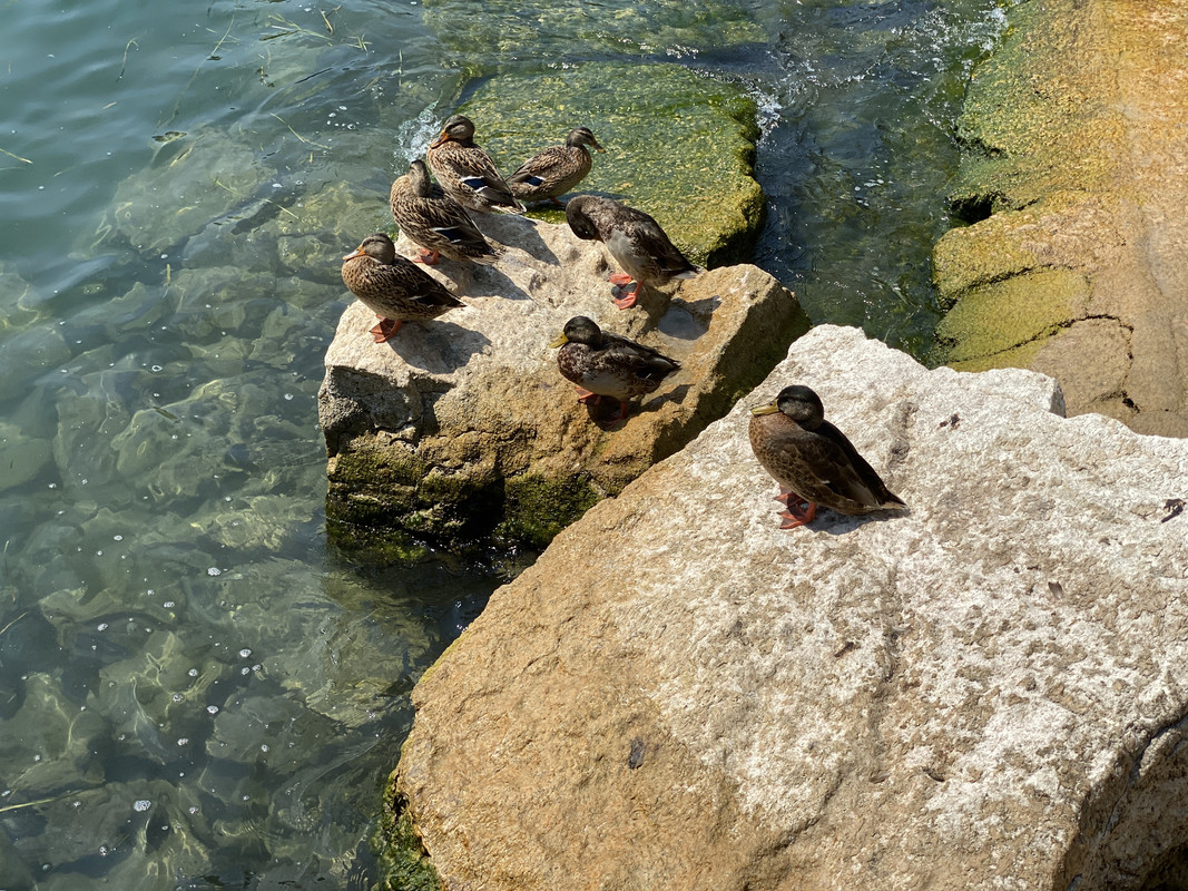 73922409-E23C-432E-852A-281C8D650F76