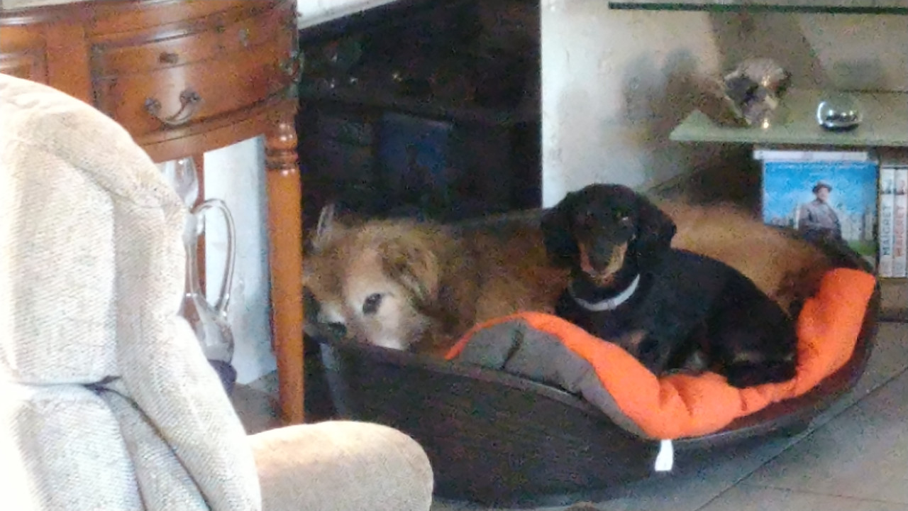 [Image: DSC-0801.jpg]