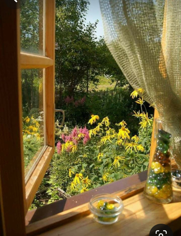 Screenshot_20240331_000903_Pinterest