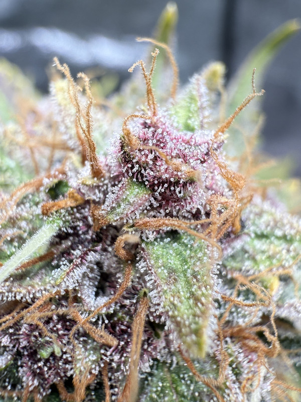 3E4EE06E-5863-430B-887B-D09418964EF1