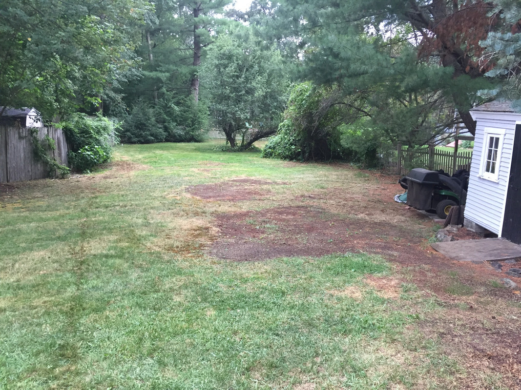 C49BA907-0366-4976-ACFE-5FA5A48008F0