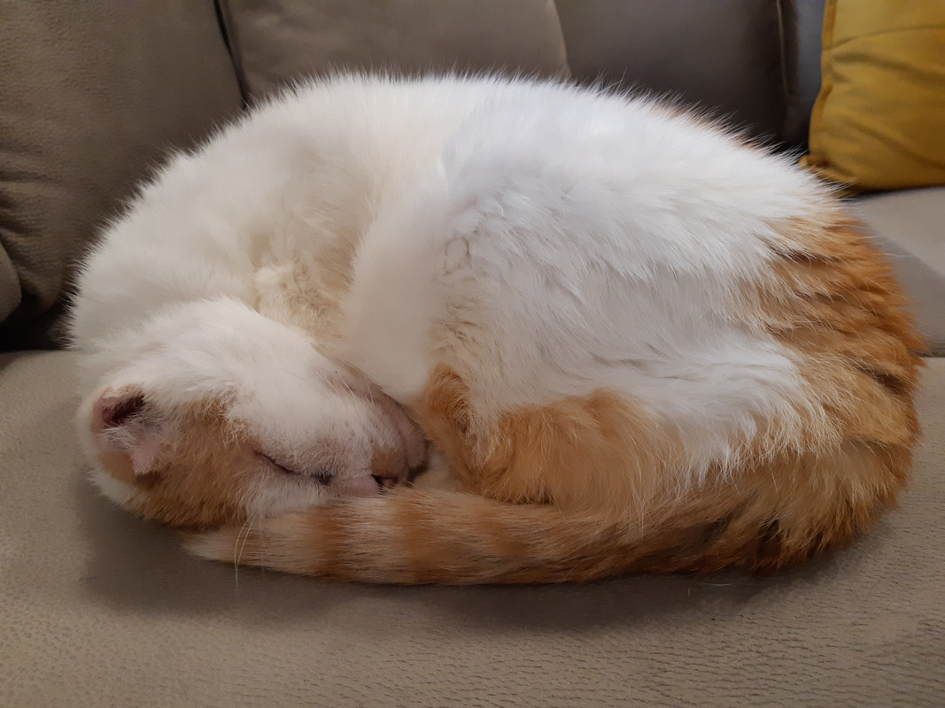20191222-132646.jpg