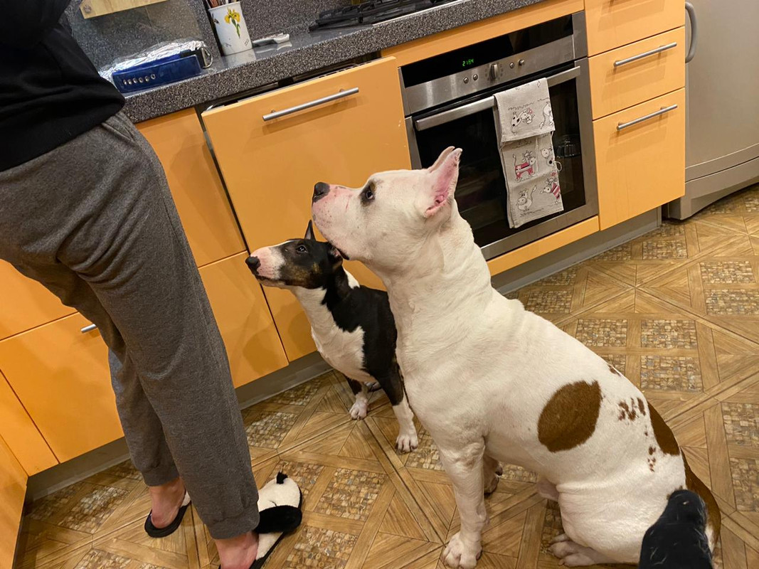 55F3EA82-1BF0-4010-8501-FD42BB5E254D