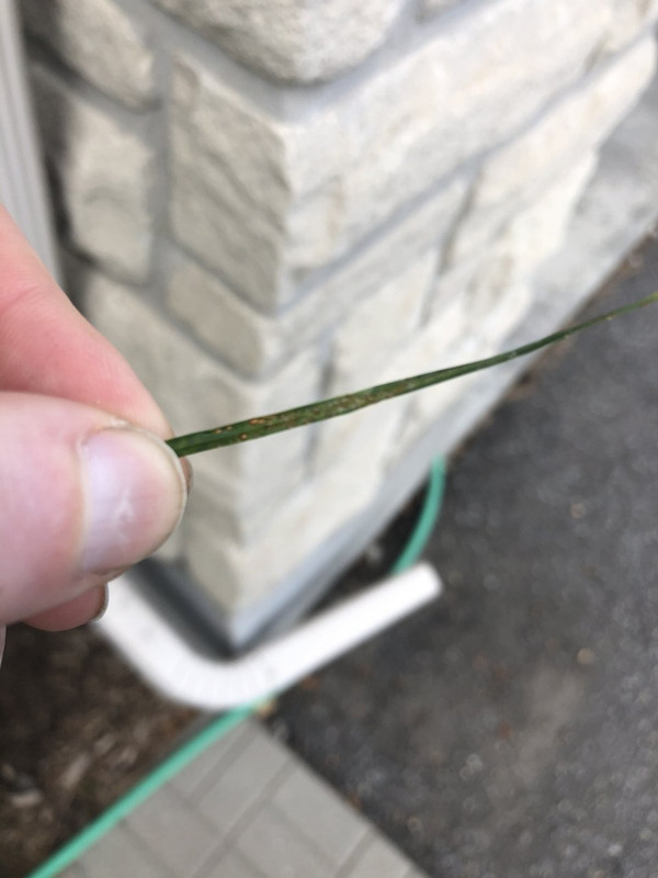 412F818A-CD8F-4CC3-BBAB-012ABFA0107C