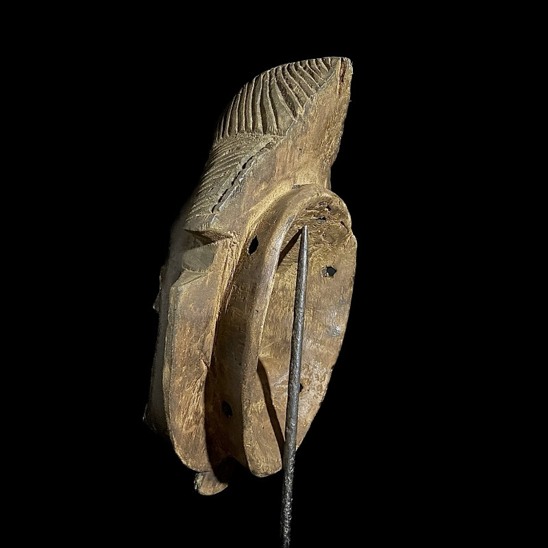 large image 9