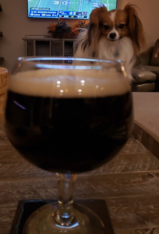 Marcel's Altbier 11-18-21