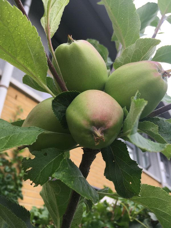 D9D390CF-7080-43DC-91DE-66A770B6707F