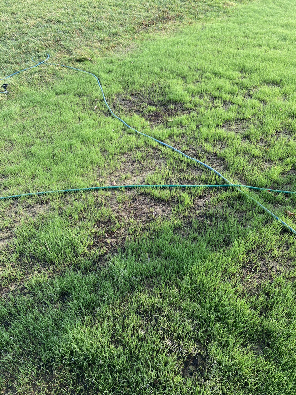 2082C6B1-B69D-45D3-8D79-ED4A56F96579