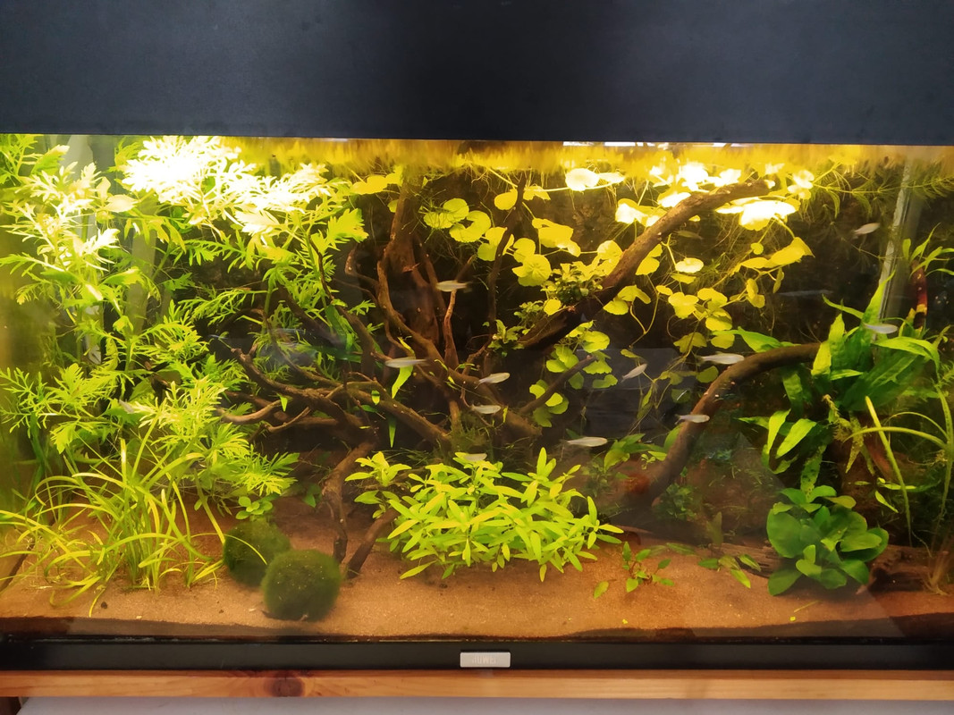 WhatsApp Image 2023-06-28 at 17.49.51