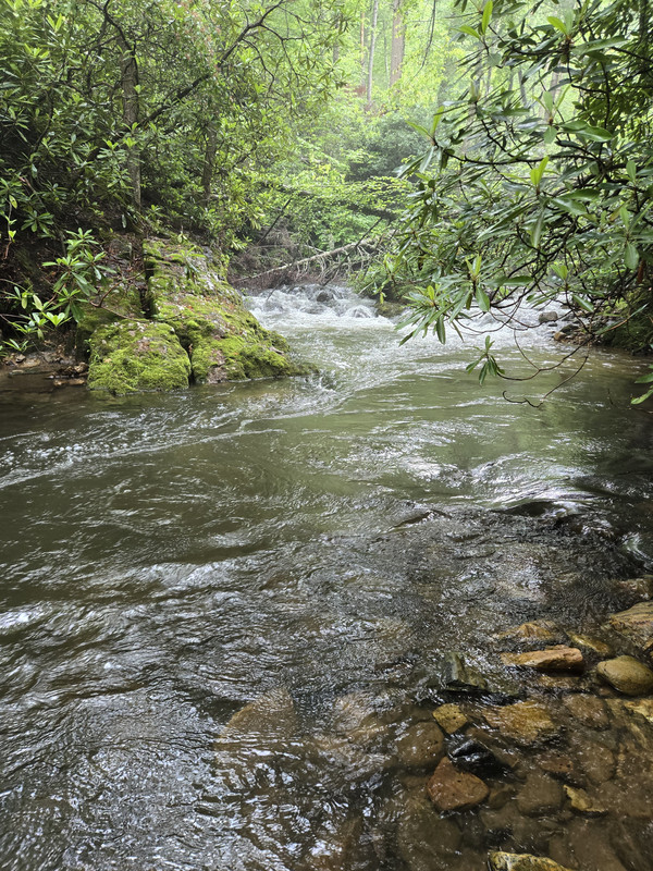 20250607-091851.jpg