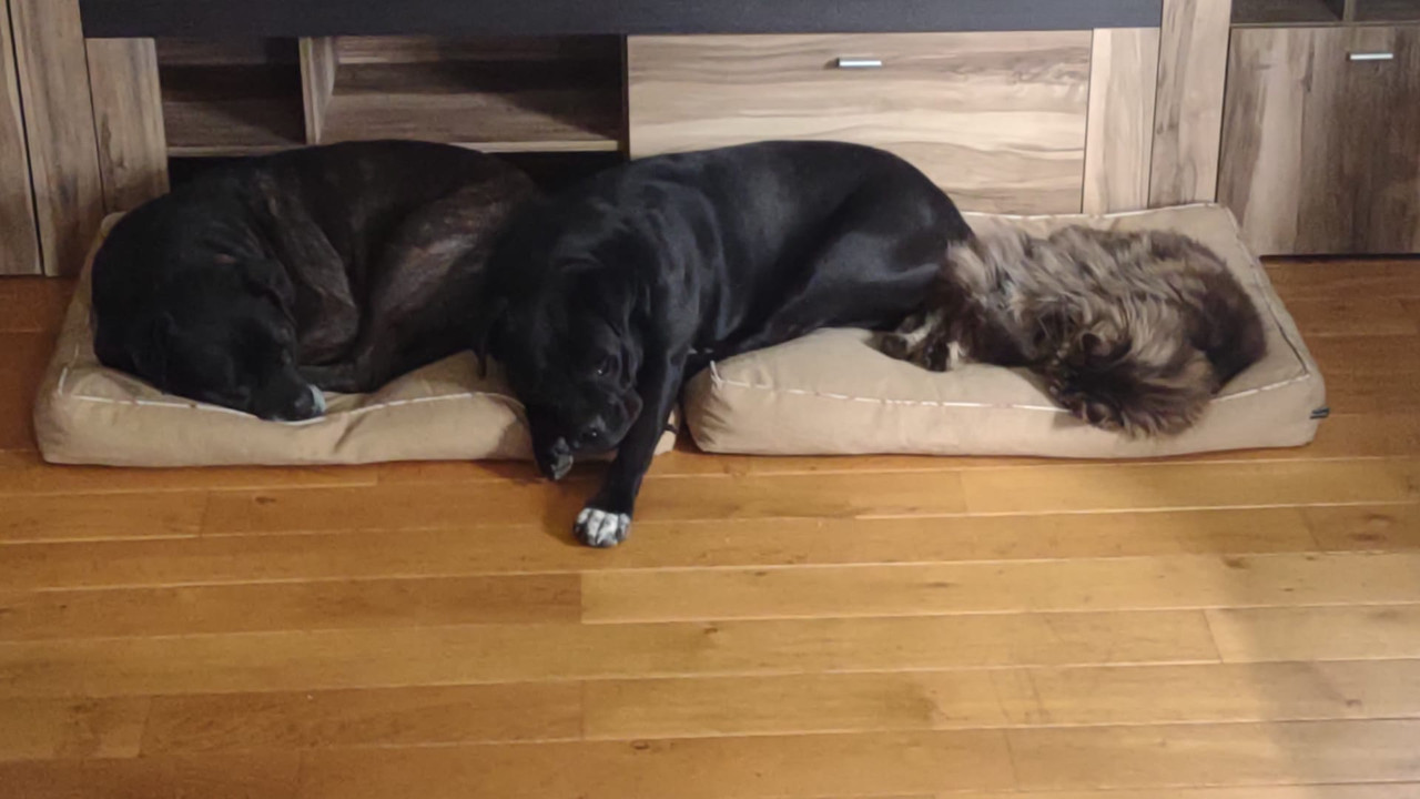 3676A821-2AE5-4D02-A987-A5382A8395C4