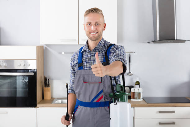 Bed bug control treatment