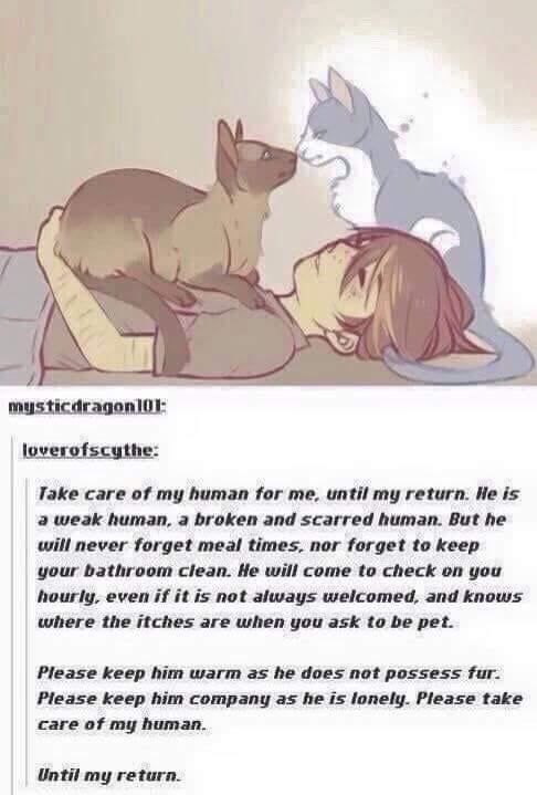 https://i.postimg.cc/Dfg0BnTH/single-panel-comic-of-a-living-cat-laying-on-a-human-v0-uu23ma3ux5kb1.jpg