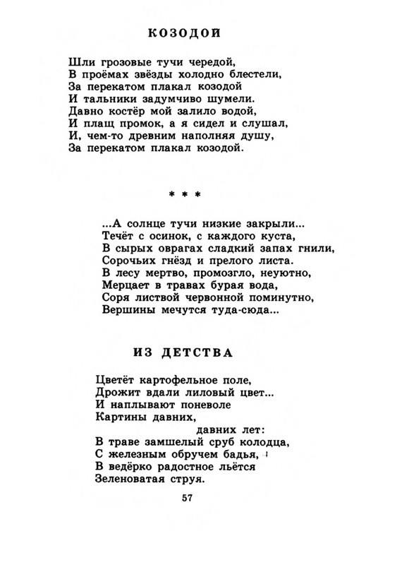 Belozerov-Timofej-Smorodinovyj-kust-1977-page-0060
