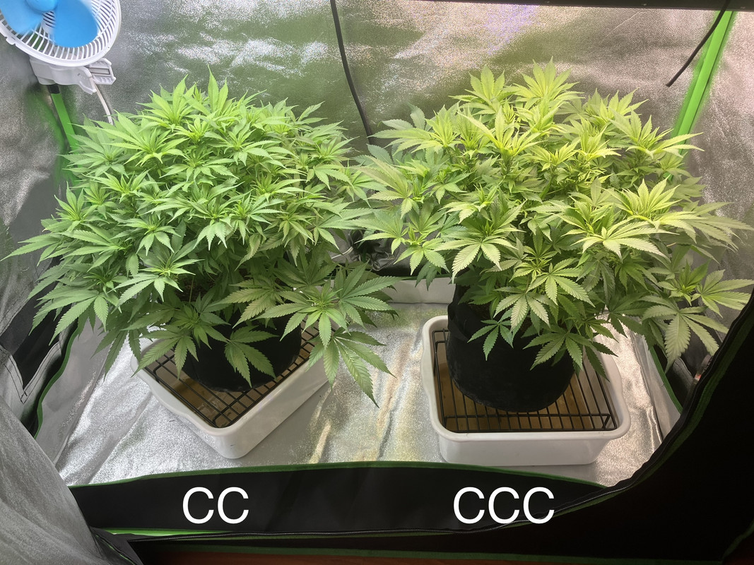 1DAE51A5-6E13-48F0-8E72-9B36F10C85A5