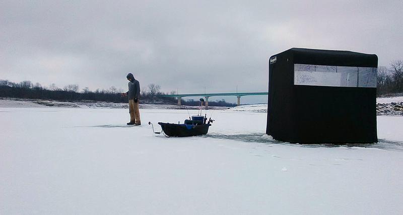 aviary-image-1517760710659