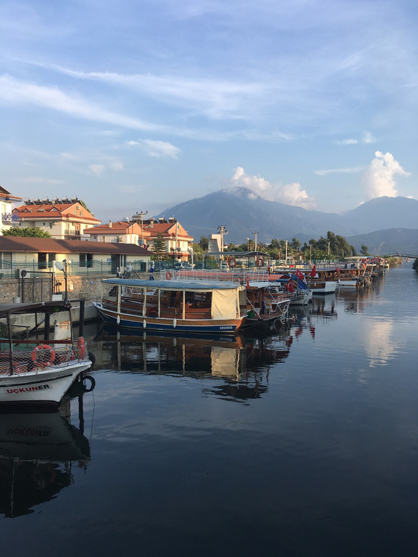 3E0A5325-BEC4-43CA-A214-69BB6C09F562