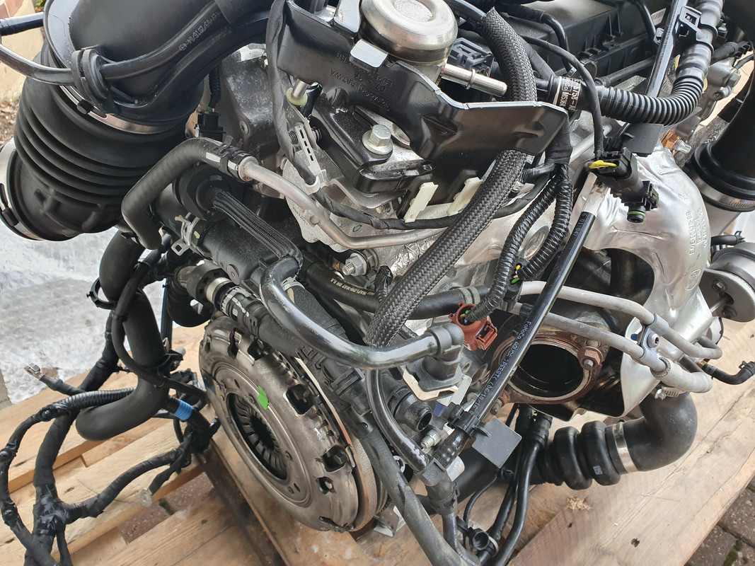 20191003_100036 - Kopia